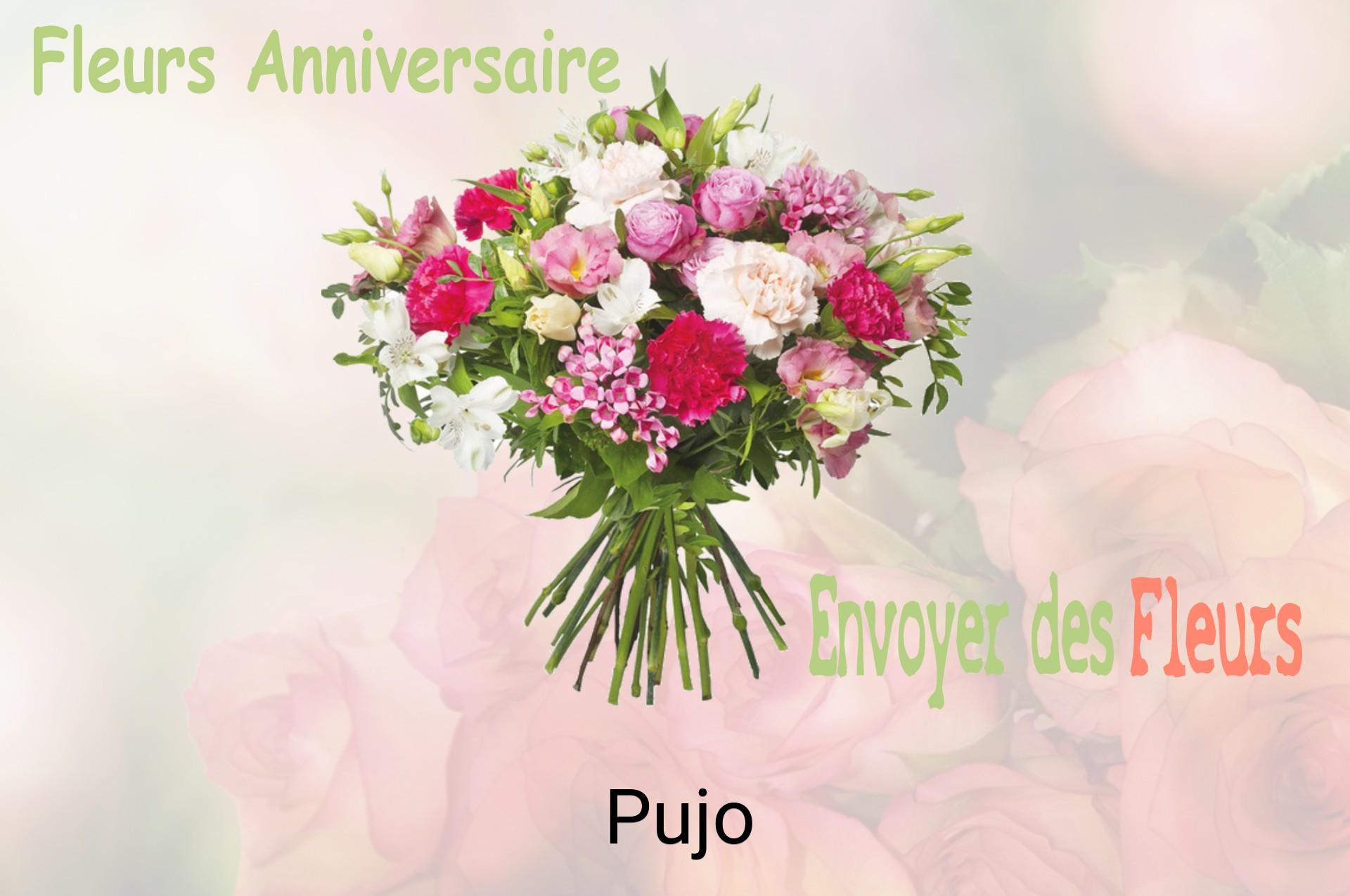 Bouquet de fleurs d’anniversaire livré à Pujo
