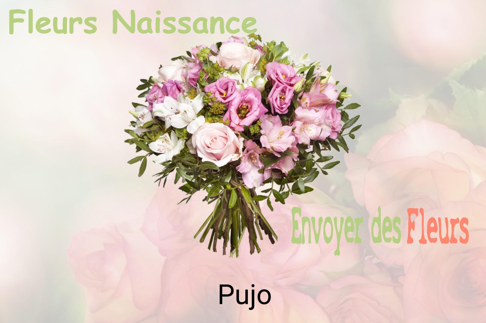 Bouquet de fleurs de naissance livré à Pujo