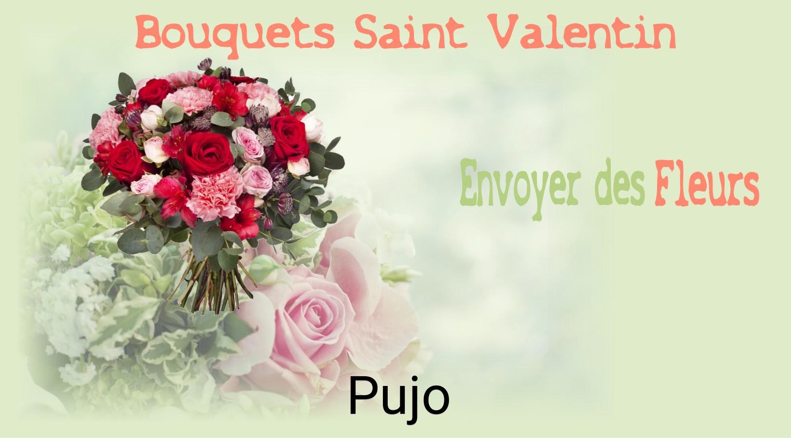 Roses de Saint-Valentin livrées à Pujo