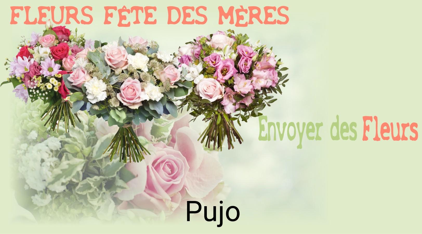 Bouquet de Fête des Mères livré à Pujo